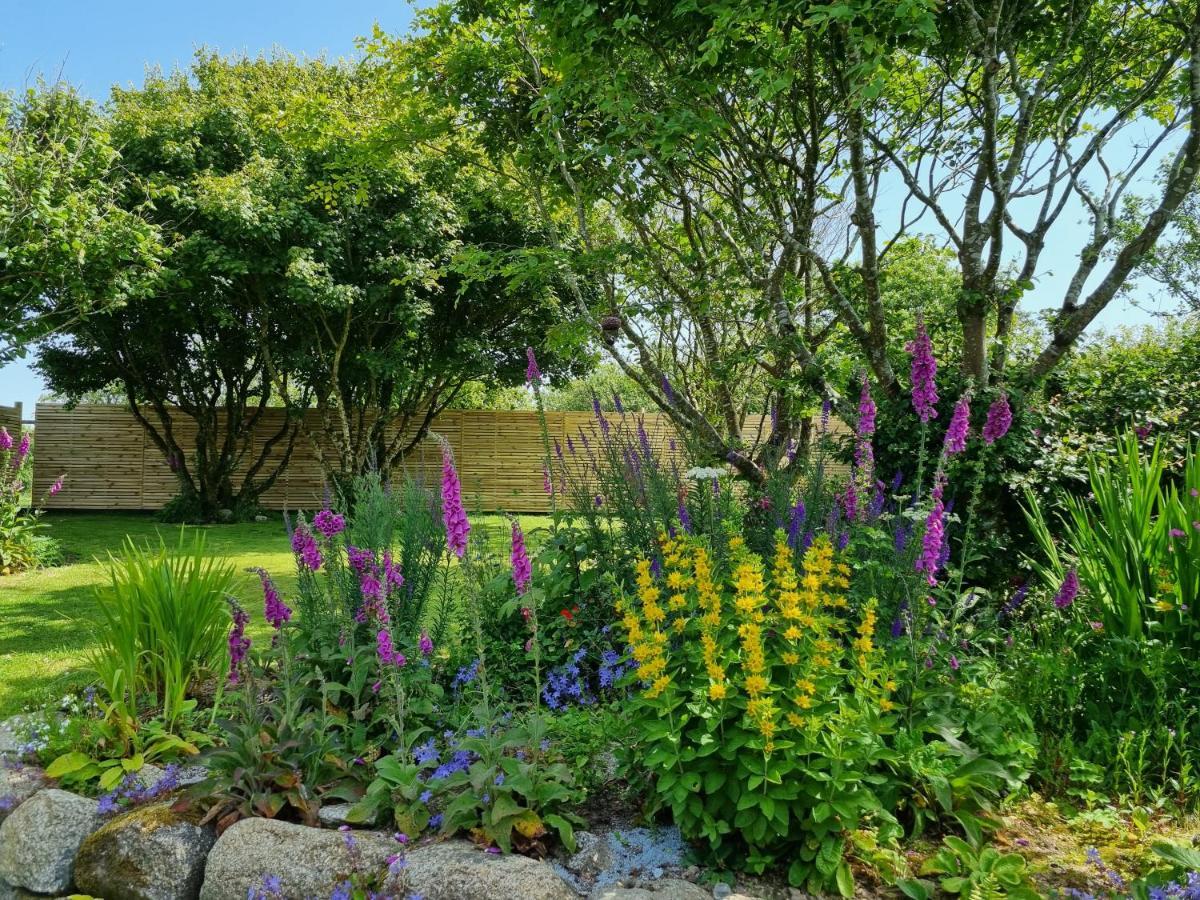Hallegan Annexe With Private Garden And Woodland Camborne Exterior photo