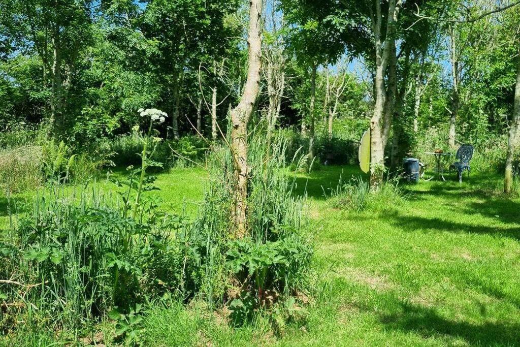 Hallegan Annexe With Private Garden And Woodland Camborne Exterior photo
